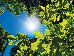 Dawn of the water eaters: How Earth got its oxygen