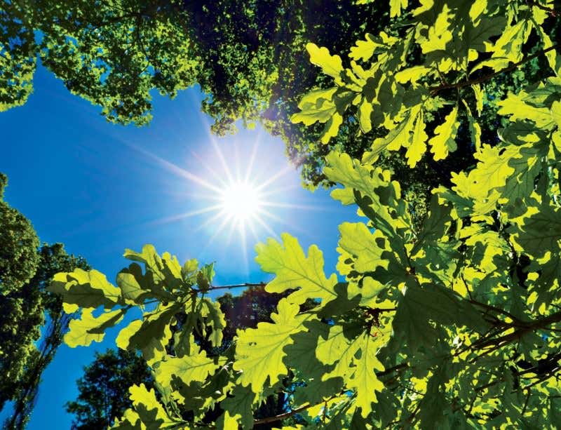 New Scientist. Science news and long reads from expert journalists, covering developments in science, technology, health and the environment on the website and the magazine.