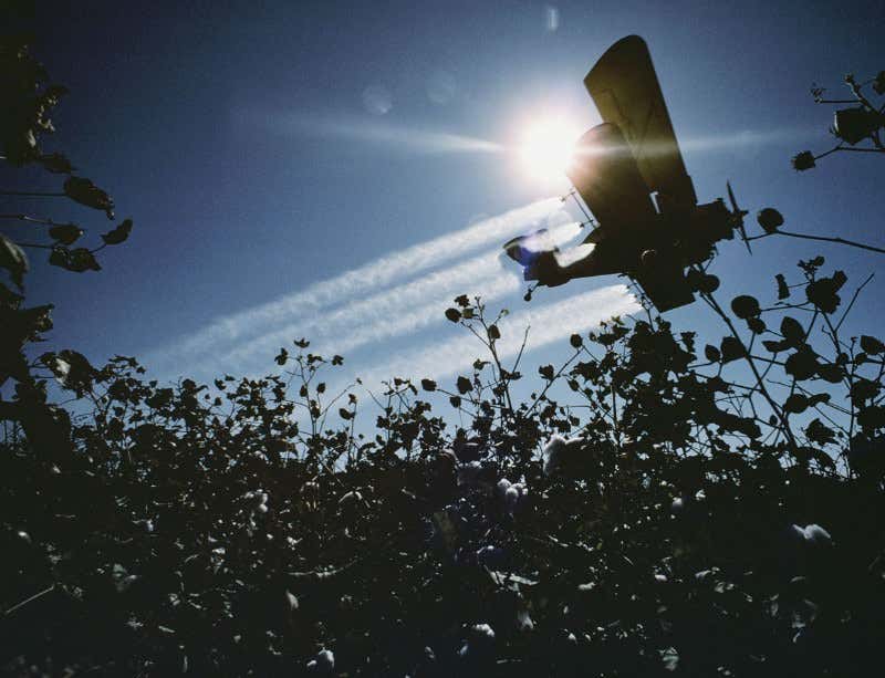 New Scientist. Science news and long reads from expert journalists, covering developments in science, technology, health and the environment on the website and the magazine.