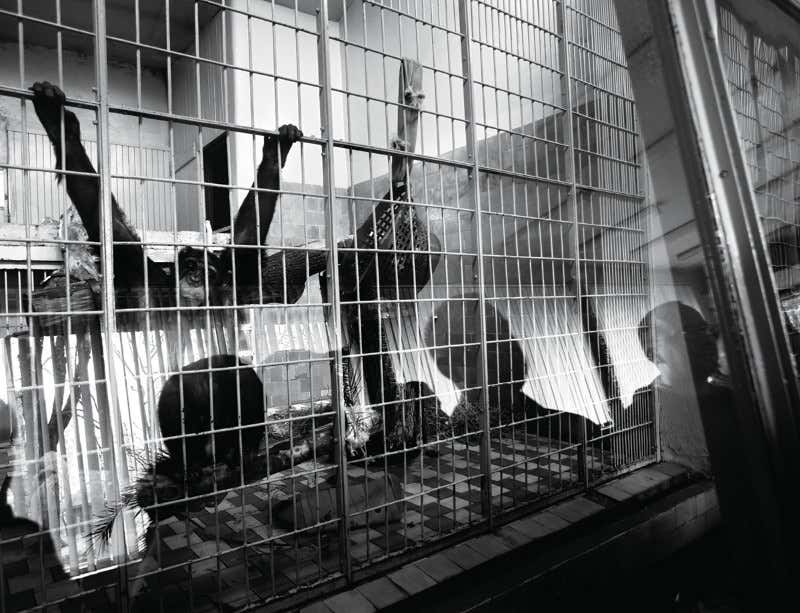 New Scientist. Science news and long reads from expert journalists, covering developments in science, technology, health and the environment on the website and the magazine.