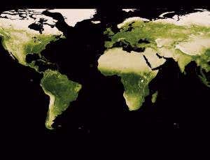 Carbon emissions helping to make Earth greener
