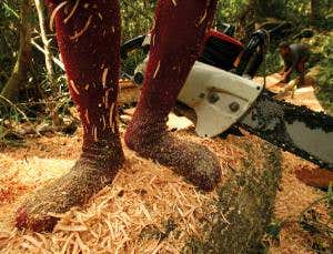 Old smartphones called in to save Indonesian forests