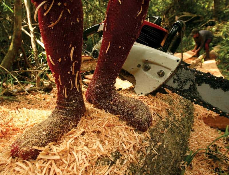 New Scientist. Science news and long reads from expert journalists, covering developments in science, technology, health and the environment on the website and the magazine.