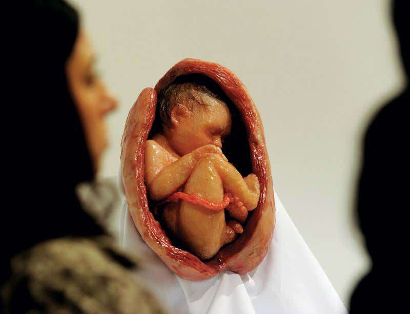 New Scientist. Science news and long reads from expert journalists, covering developments in science, technology, health and the environment on the website and the magazine.