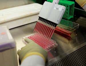 The hunt for the world's most wanted vaccines