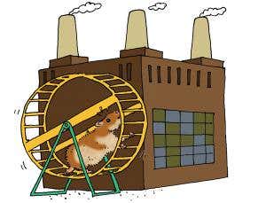 Feedback: Hamsters tackle energy crisis