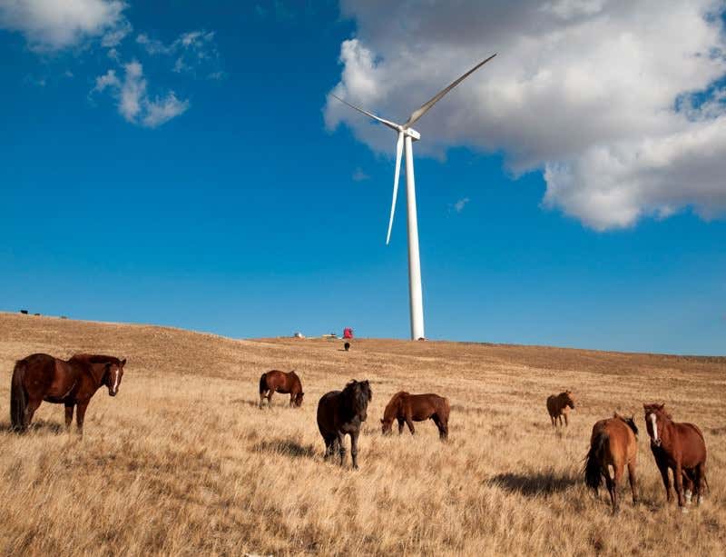 New Scientist. Science news and long reads from expert journalists, covering developments in science, technology, health and the environment on the website and the magazine.