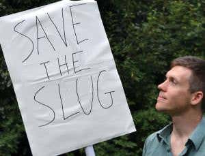 Forget pandas – ugly animals should be protected too