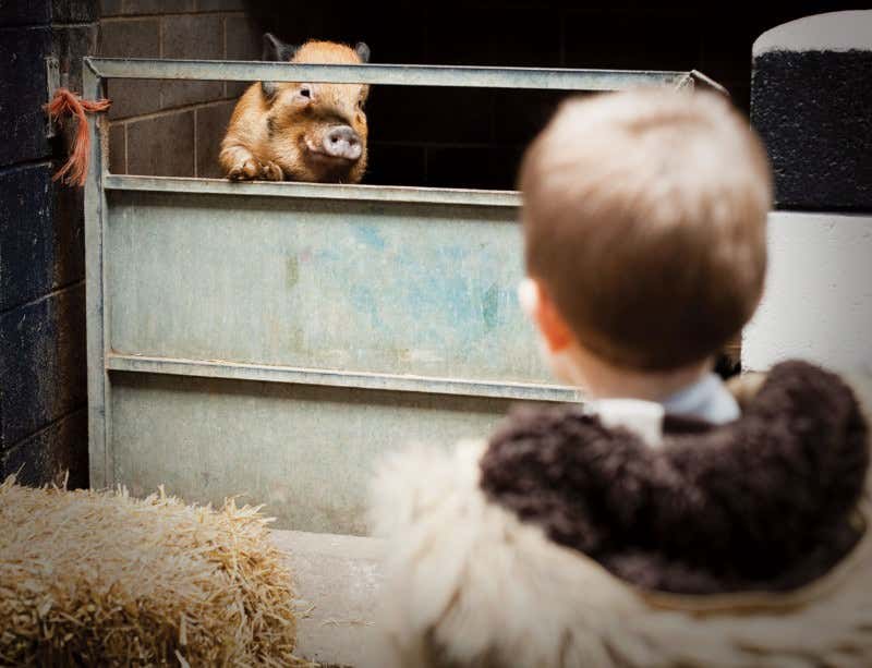 New Scientist. Science news and long reads from expert journalists, covering developments in science, technology, health and the environment on the website and the magazine.