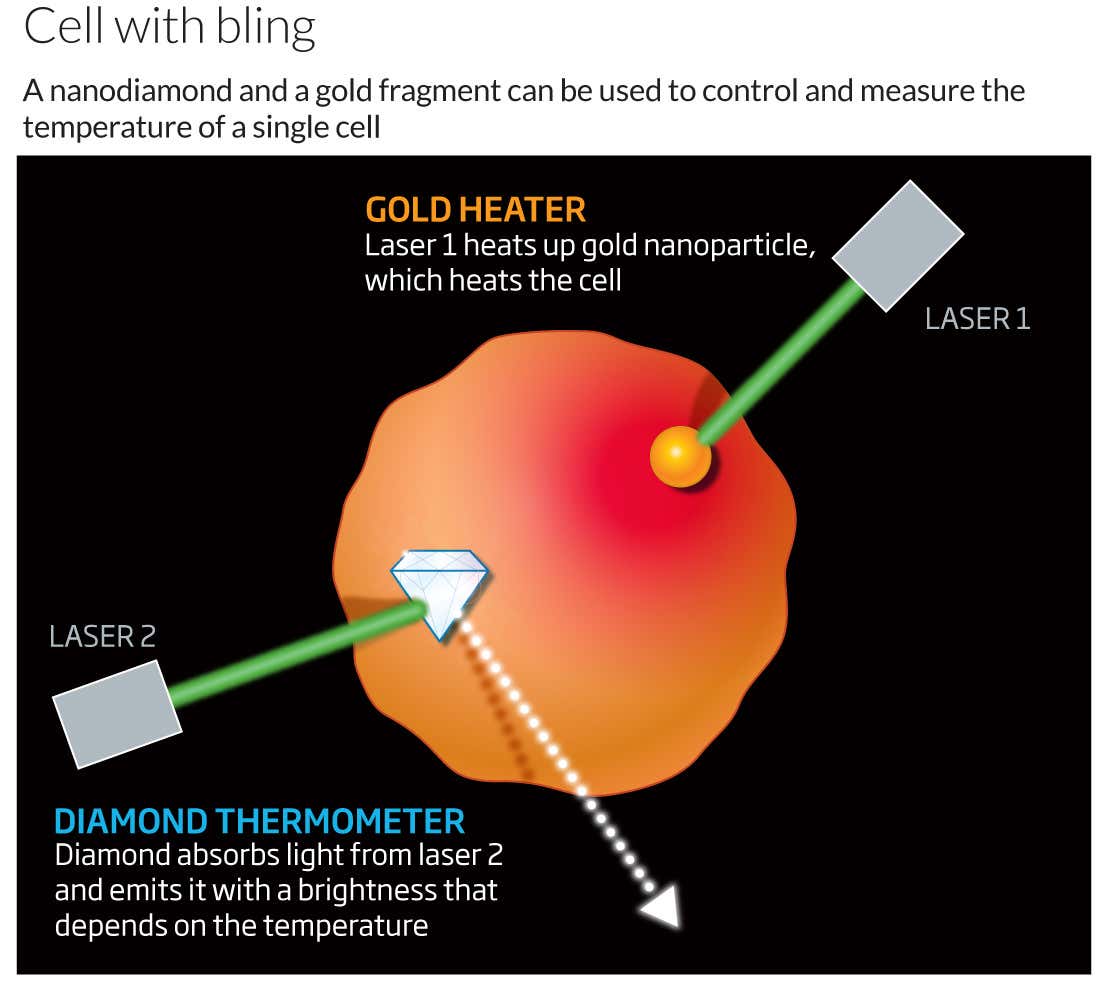 New Scientist. Science news and long reads from expert journalists, covering developments in science, technology, health and the environment on the website and the magazine.