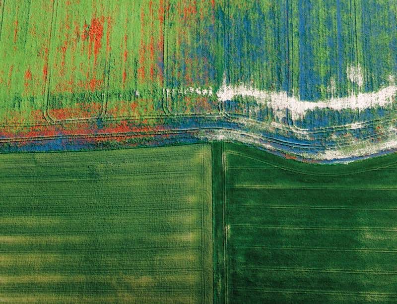 New Scientist. Science news and long reads from expert journalists, covering developments in science, technology, health and the environment on the website and the magazine.