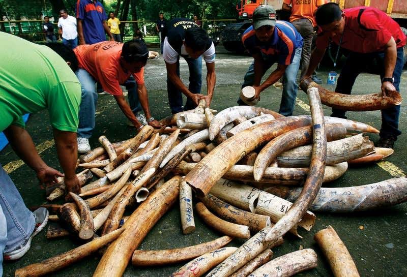 New Scientist. Science news and long reads from expert journalists, covering developments in science, technology, health and the environment on the website and the magazine.