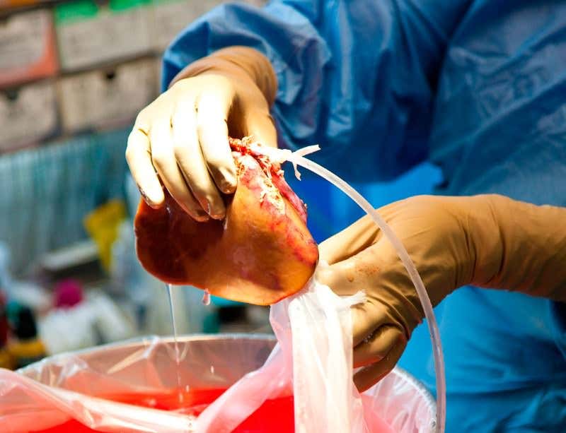 New Scientist. Science news and long reads from expert journalists, covering developments in science, technology, health and the environment on the website and the magazine.