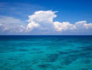 Brightening the clouds touted as a way to save corals