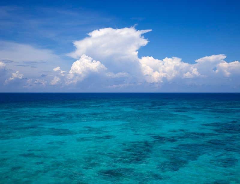 New Scientist. Science news and long reads from expert journalists, covering developments in science, technology, health and the environment on the website and the magazine.