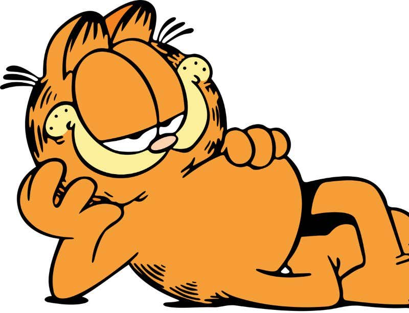 1978 in pictures: Why it was the best year so far