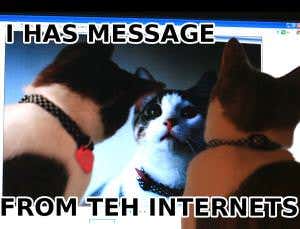 What Reddit likes: Things that make a meme explode