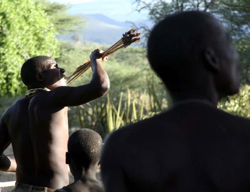 New Scientist. Science news and long reads from expert journalists, covering developments in science, technology, health and the environment on the website and the magazine.