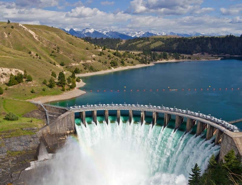 New Scientist. Science news and long reads from expert journalists, covering developments in science, technology, health and the environment on the website and the magazine.