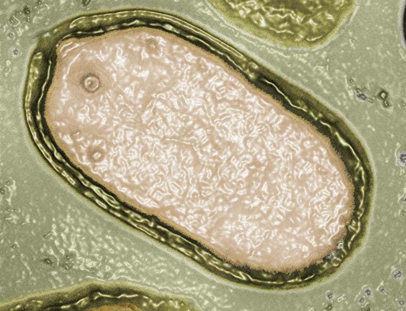 New Scientist. Science news and long reads from expert journalists, covering developments in science, technology, health and the environment on the website and the magazine.