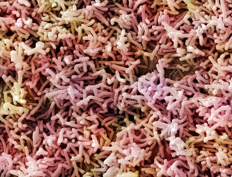 New Scientist. Science news and long reads from expert journalists, covering developments in science, technology, health and the environment on the website and the magazine.