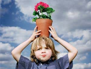 AI scores same as a 4-year-old in verbal IQ test