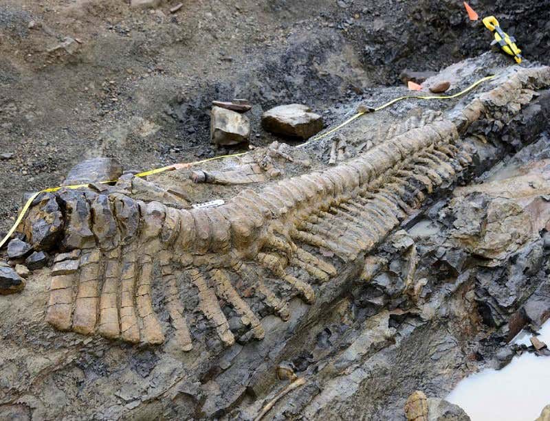 New Scientist. Science news and long reads from expert journalists, covering developments in science, technology, health and the environment on the website and the magazine.