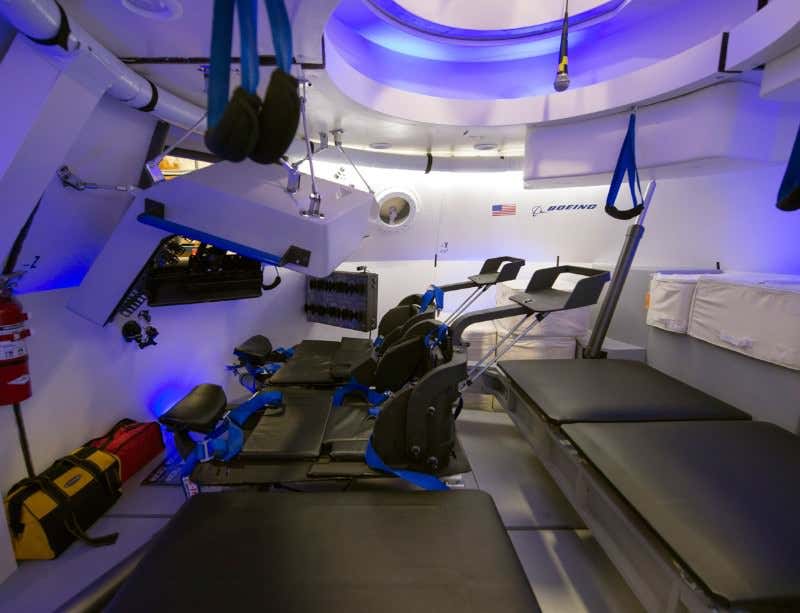 New Scientist. Science news and long reads from expert journalists, covering developments in science, technology, health and the environment on the website and the magazine.