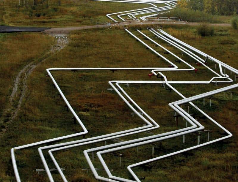 New Scientist. Science news and long reads from expert journalists, covering developments in science, technology, health and the environment on the website and the magazine.