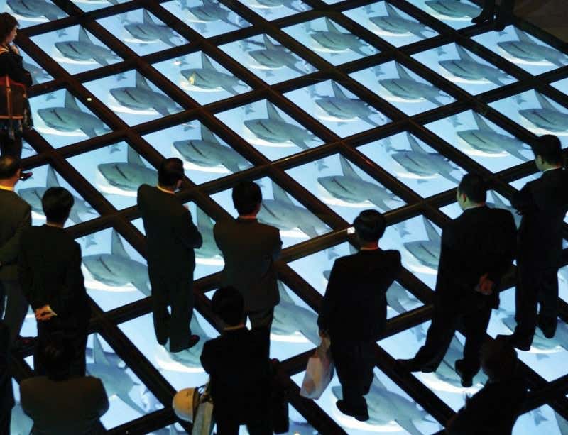 New Scientist. Science news and long reads from expert journalists, covering developments in science, technology, health and the environment on the website and the magazine.