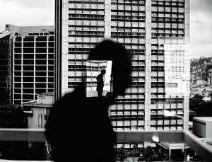 Physics goes social: How behaviour obeys quantum logic