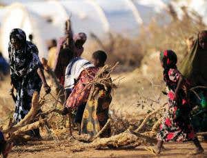 What do we fix first – environment or economy?