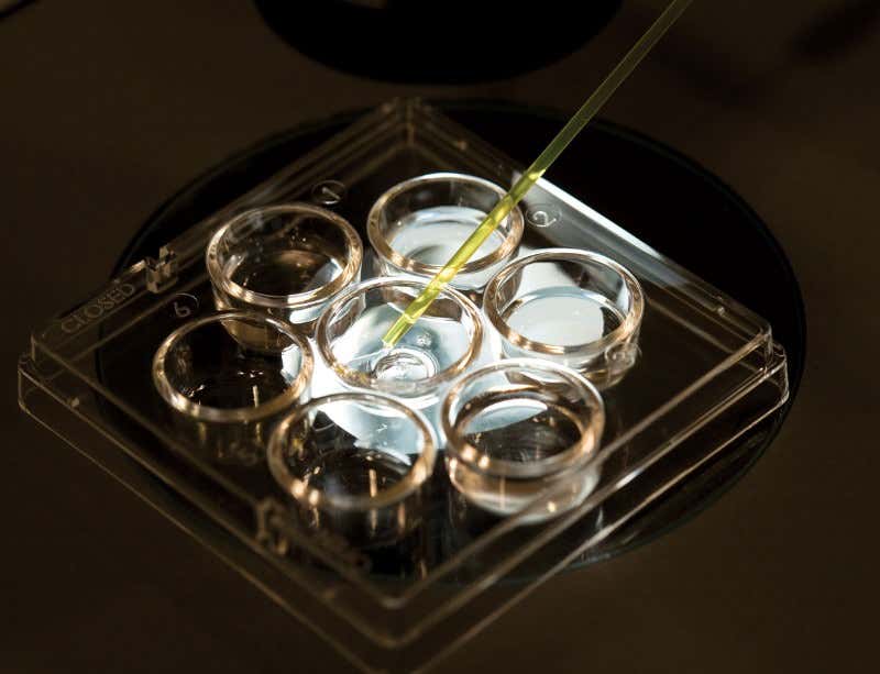 New Scientist. Science news and long reads from expert journalists, covering developments in science, technology, health and the environment on the website and the magazine.