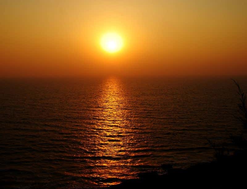 New Scientist. Science news and long reads from expert journalists, covering developments in science, technology, health and the environment on the website and the magazine.