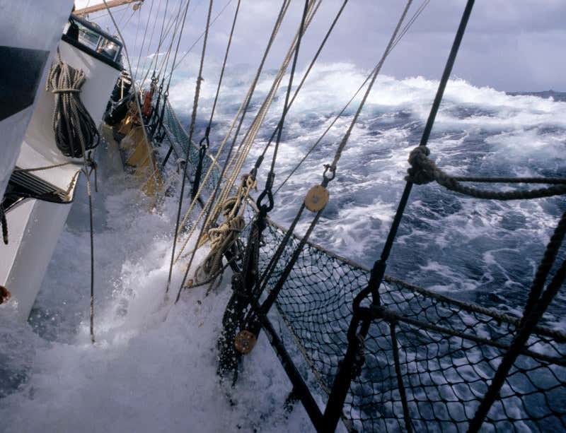 New Scientist. Science news and long reads from expert journalists, covering developments in science, technology, health and the environment on the website and the magazine.