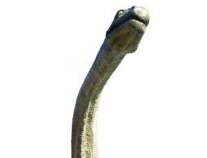 A tall tale: How the sauropod got its neck