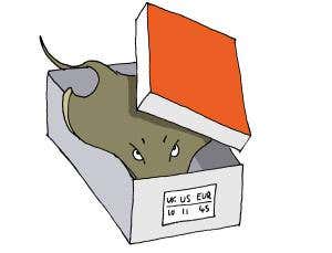 Feedback: Sneakers made of stingrays