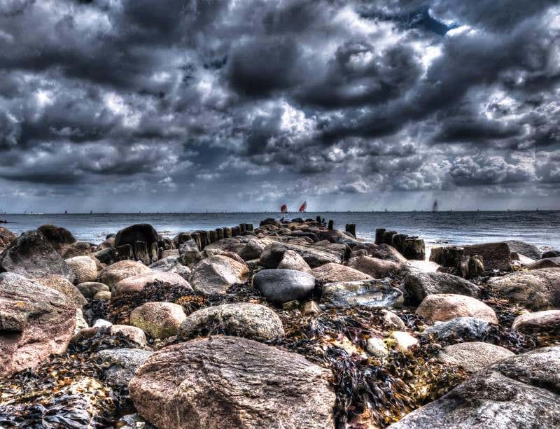 New Scientist. Science news and long reads from expert journalists, covering developments in science, technology, health and the environment on the website and the magazine.