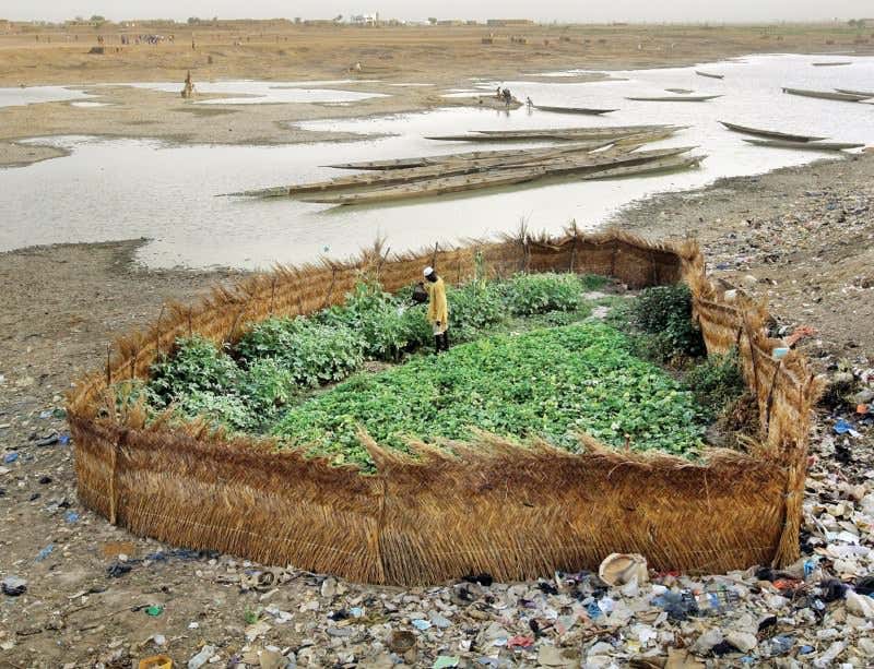 New Scientist. Science news and long reads from expert journalists, covering developments in science, technology, health and the environment on the website and the magazine.