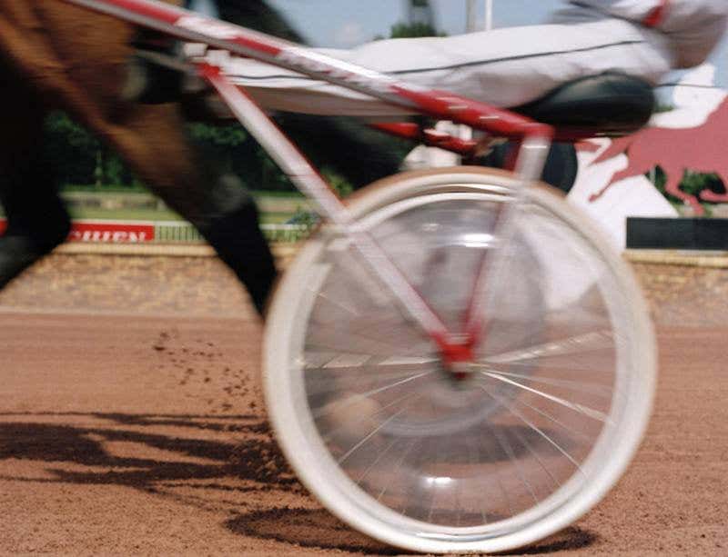 New Scientist. Science news and long reads from expert journalists, covering developments in science, technology, health and the environment on the website and the magazine.