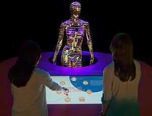 DNA fails to take off