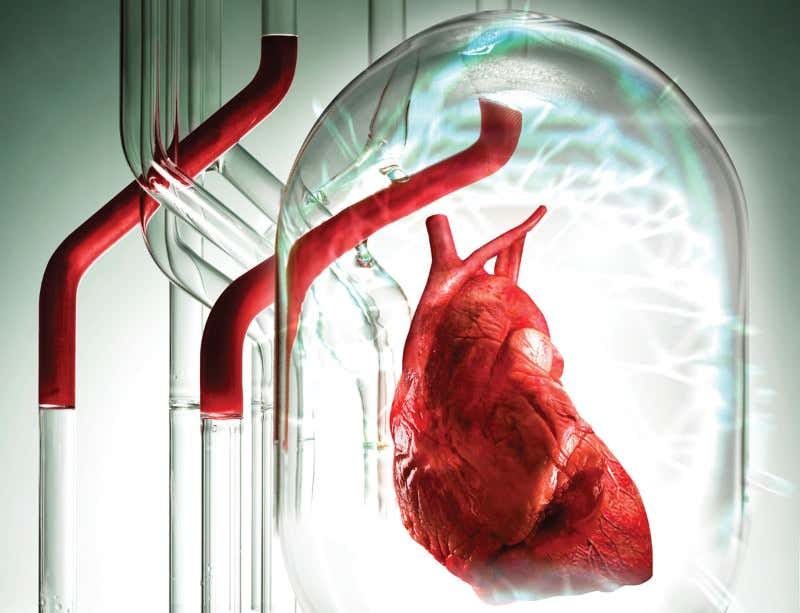 New Scientist. Science news and long reads from expert journalists, covering developments in science, technology, health and the environment on the website and the magazine.