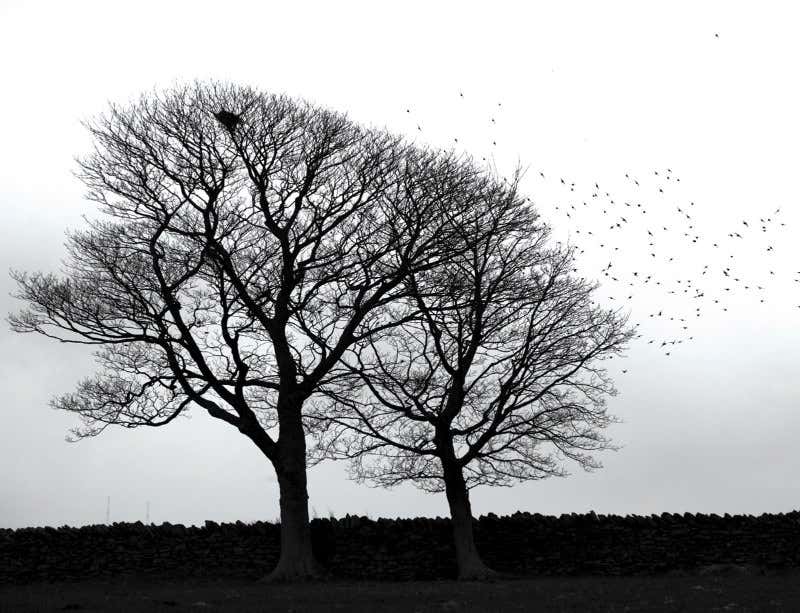 New Scientist. Science news and long reads from expert journalists, covering developments in science, technology, health and the environment on the website and the magazine.