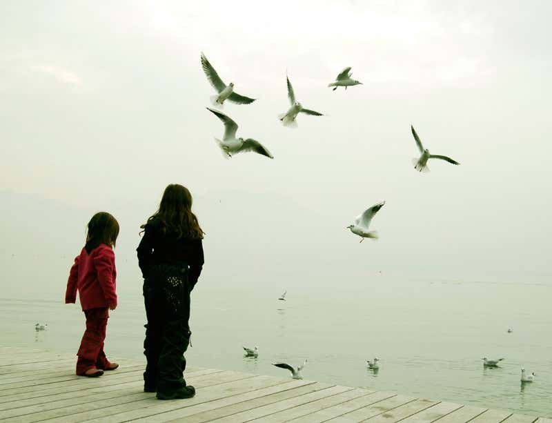 New Scientist. Science news and long reads from expert journalists, covering developments in science, technology, health and the environment on the website and the magazine.