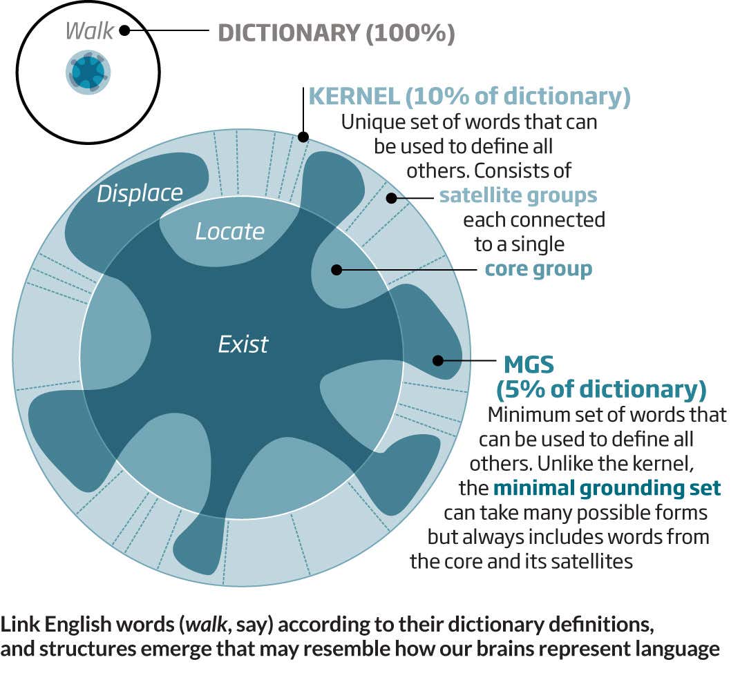 Why your brain may work like a dictionary