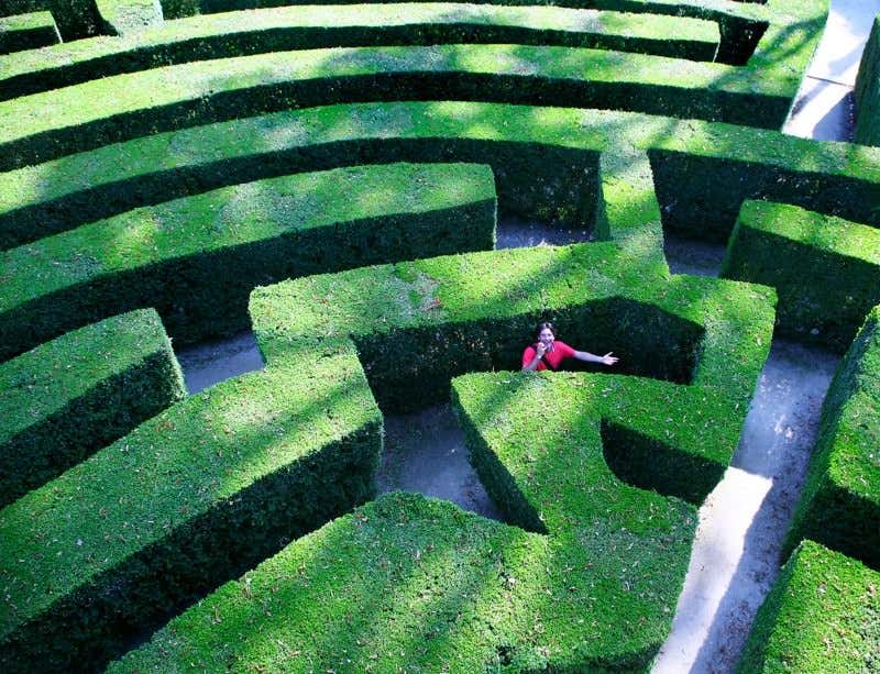 New Scientist. Science news and long reads from expert journalists, covering developments in science, technology, health and the environment on the website and the magazine.