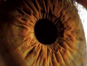 Maths quiz helps paralysed people talk with their eyes