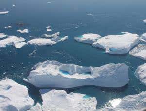 Arctic ice grows darker and less reflective