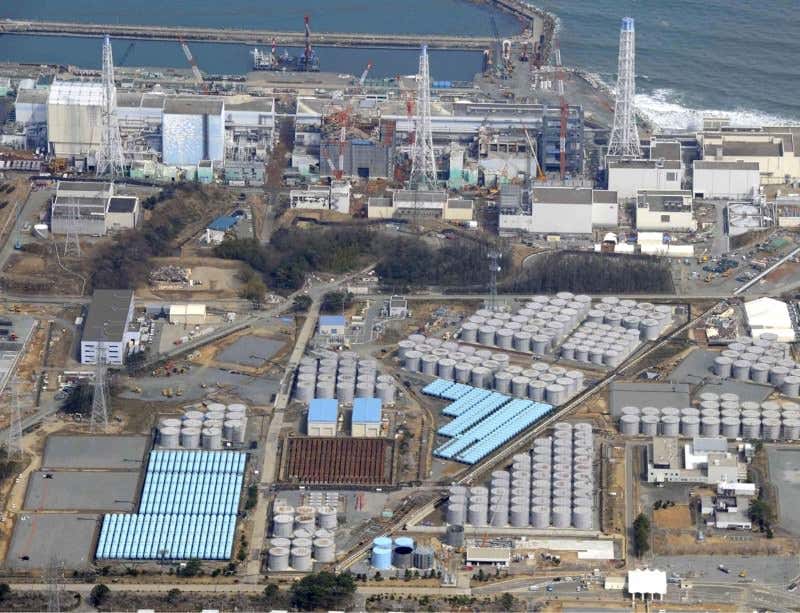 New Scientist. Science news and long reads from expert journalists, covering developments in science, technology, health and the environment on the website and the magazine.