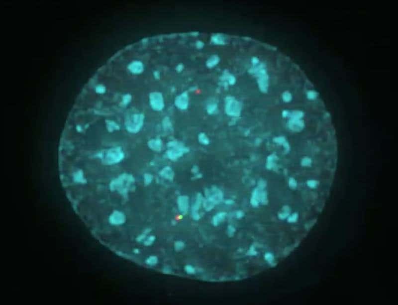 New Scientist. Science news and long reads from expert journalists, covering developments in science, technology, health and the environment on the website and the magazine.